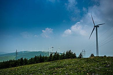 策略游戏《华沙》steam免费发布 二战背景回合制经典